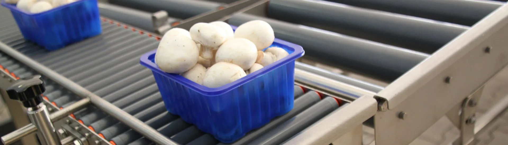 Bakje champignons op een rollenbaan