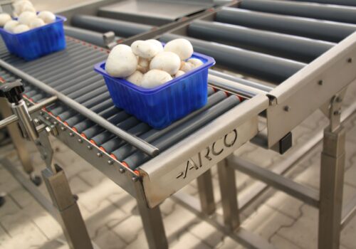 Bakje champignons op een rollenbaan
