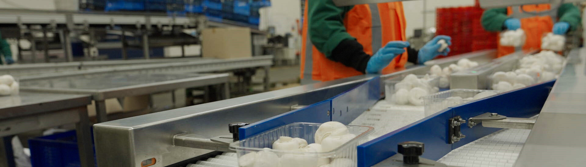 Champignons op een weegmachine