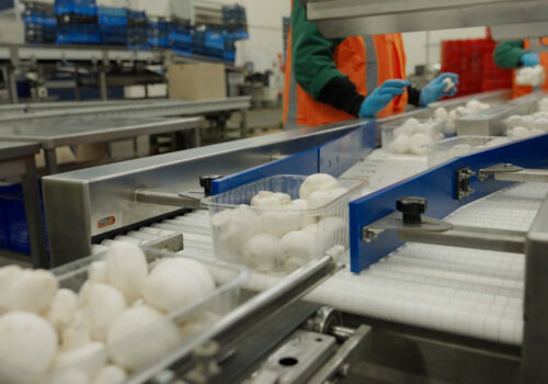 Champignons op een weegmachine