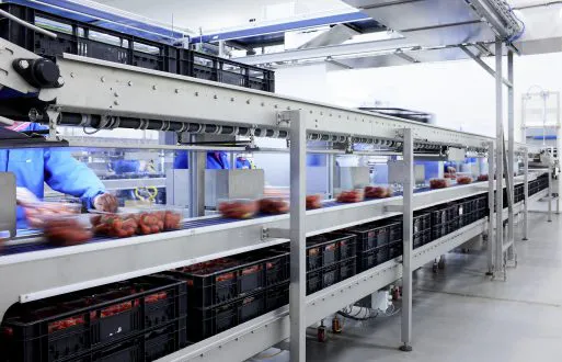 Tripple deck systeem met aardbeien