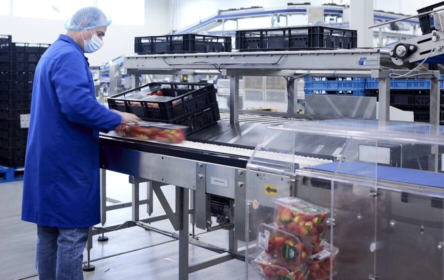 Controle checkoplossingen