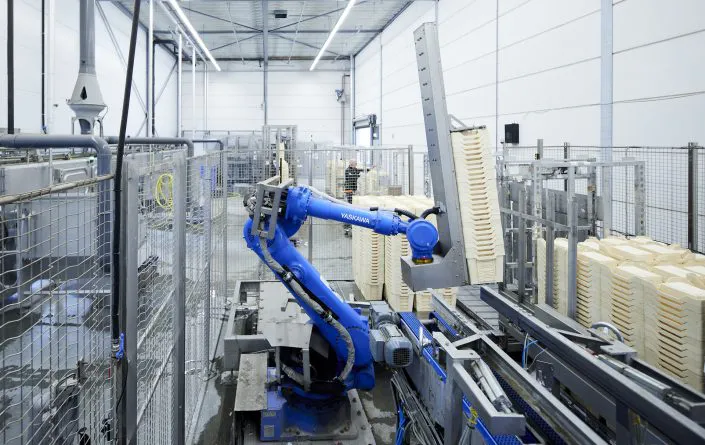 Industriële robot ARCO