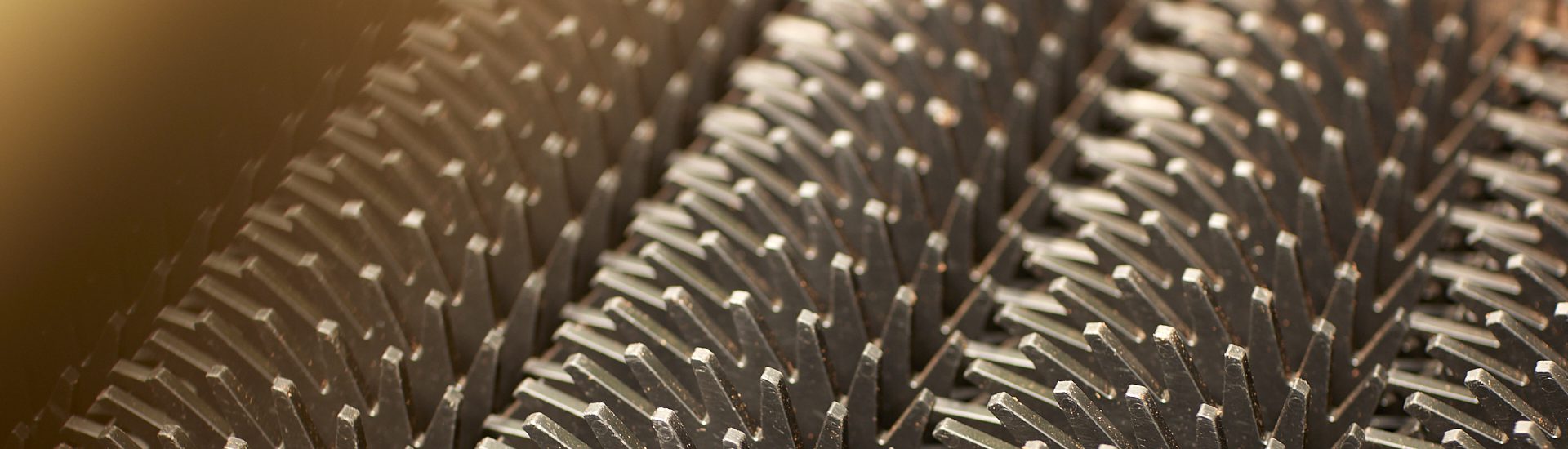 sterrenzeef detail