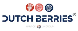 Dutch berries