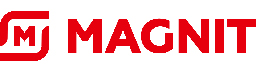 Logo Magnit