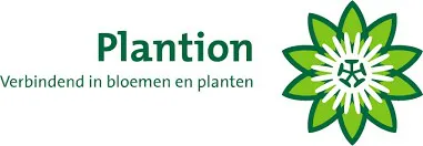 Plantion