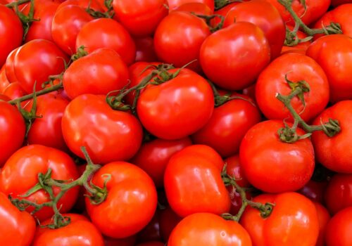 Tomaten Arco-solutions.